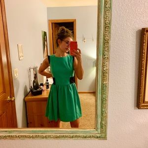 Francesca’s Mini Swing Dress